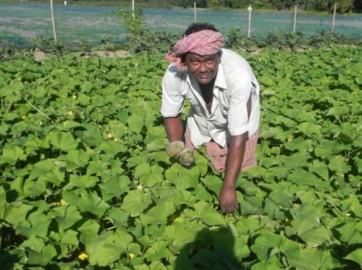 Tripura Nov 3rd week