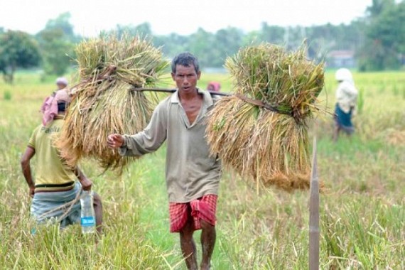 Tripura Oct 3rd week