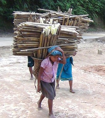 Tripura Sept 1st Week