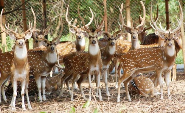 Tripura August 29