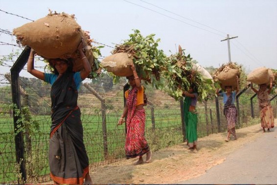 Tripura August 29