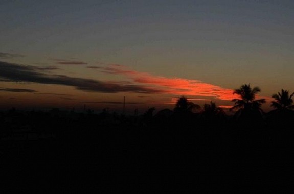 Tripura Nov 3rd week