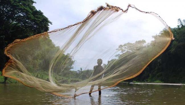 Tripura Agriculture