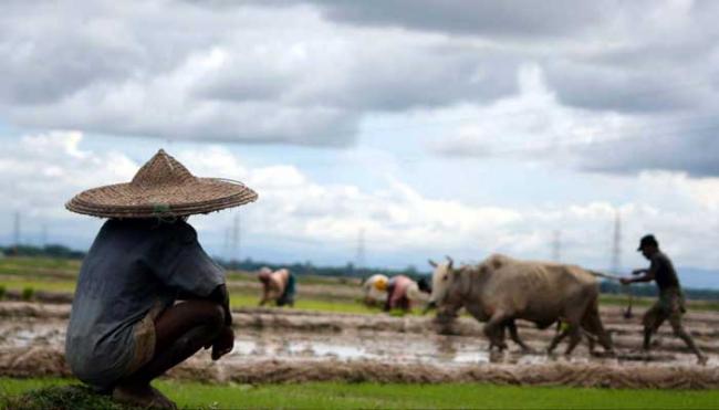 Tripura Agriculture