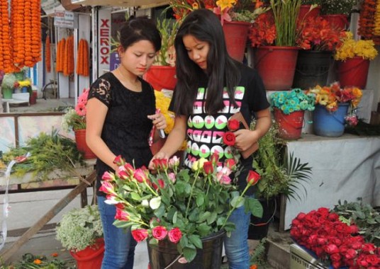 Tripura February 2014 3rd week