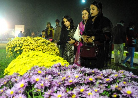  Winter flower show in Agartala