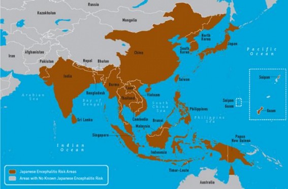 Meghalaya sounds alert for Japanese encephalitis