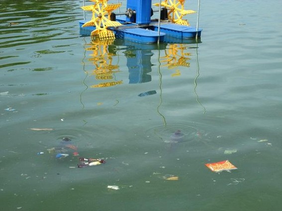 High Level meeting held to review Rare species N-Nigricans turtle deaths in Kalyan Sagar : Prof Jyoti Prakash raised questions about the necessity of such meetings 