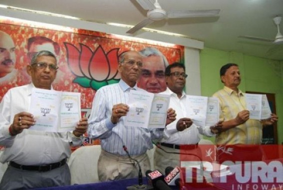 BJP gears up for Village Committee election : BJP State President talks to TIWN