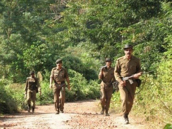 Police arrest â€˜Halam Tiger Forceâ€™ militant
