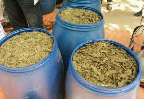 One arrested for cannabin smuggling from Dharmanagar
