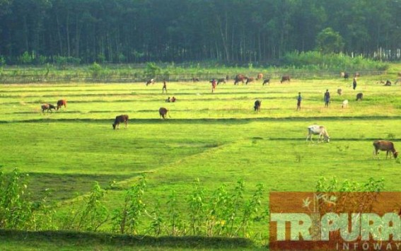SC notice on excluding India-Bangladesh enclaves' Bengal residents : Tripuraâ€™s disputed Muhuri â€˜Char's fate hangs in balance, smuggler activities on rise across Indo-Bangla border