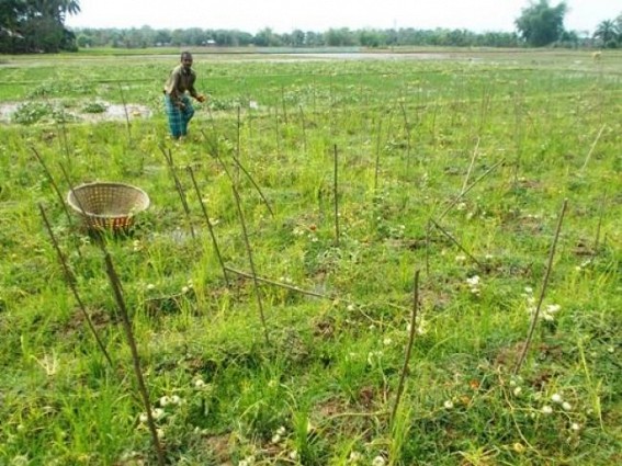 Udaipur : Villages devastated due to excessive rain 
