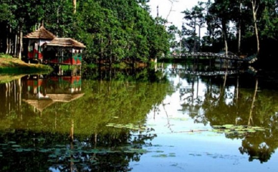 NE Tripura introduces Butterfly Park in Trishna sanctuary