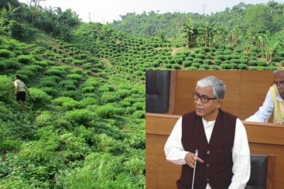 Tripura drug smuggling hubs : contraband items worth Rs. 76, 30, 658 seized during 2013-14 FY, says CM Manik Sarkar during assembly session
