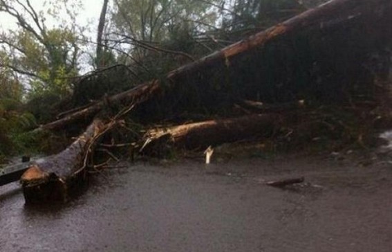 Landslide trapped more than 500 vehicles on National Highway at South Tripura