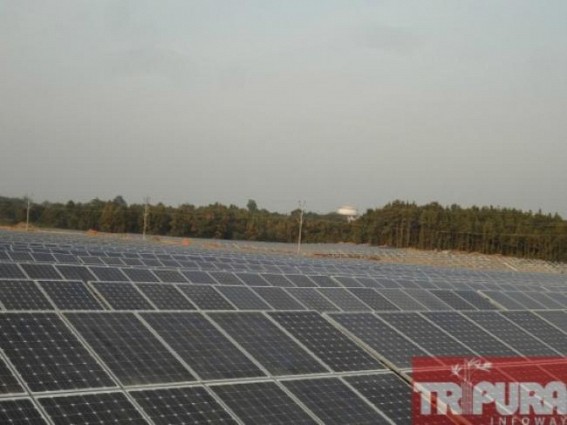 Households vital for India's energy independence, says scientist