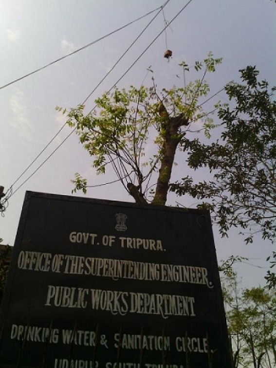  Tripura has got 316 crore in Rajiv Gandhi Bidyutayan Scheme for the financial year 2014-15