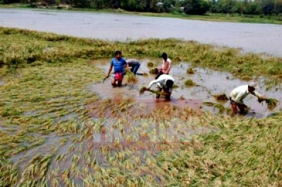 Belonia: Continuous rain, thunderstorm hampers normal life 