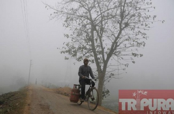 MET forecast indicates thunder shower in next 24 hours