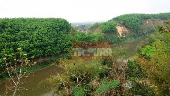 Rampant rubber cultivation goes unchecked in Gomati District : â€˜green poisonâ€™ rubber wiped off natural forest, Tripura Forest Minister Naresh Jamatia's family owns multiple rubber gardens