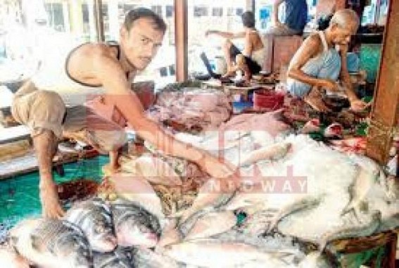 Hilsa fish tops in market price at Udaipur, sold by Rs. 2000/- on New year morning 