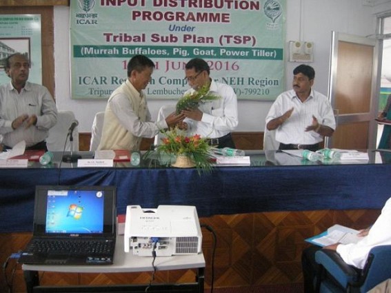 ICAR Tripura launched pilot project on Murrah buffaloes, distribute livestocks