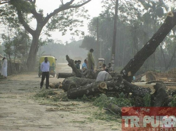 Construction work of the 22 kilometre road from Udaipur to Melagarh is in progress 