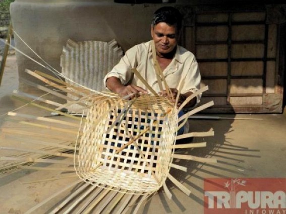 Trpura Bamboo cultivation on the verge of extinction : Costly bamboo products for no use to strengthen state's economy 