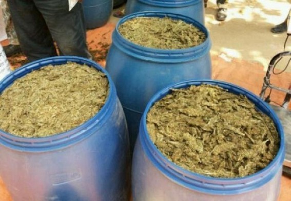 333 Kg Ganja recovered 
