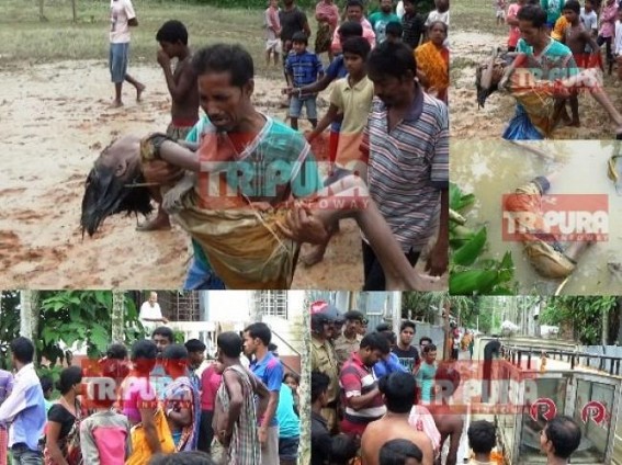 Flood toll rises to 3 in Tripura : 11-year-old missing girl's dead body found floating in river Howrah without any rescue operation since 48 hrs