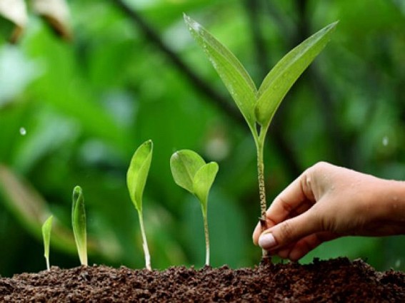 Photograph & Slogan competition to be held on World Environment