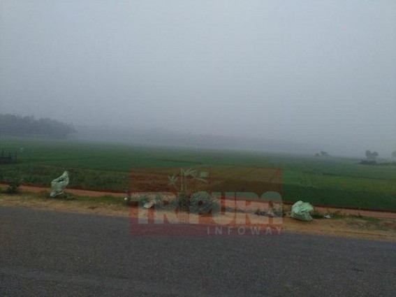 Foggy morning on Shashti