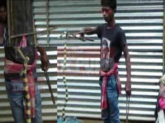 Poisonous snake recovered