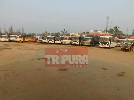Strike receives huge response from public