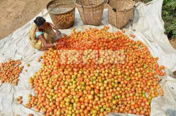 Tripura to take lessons from Sikkim in organic farming