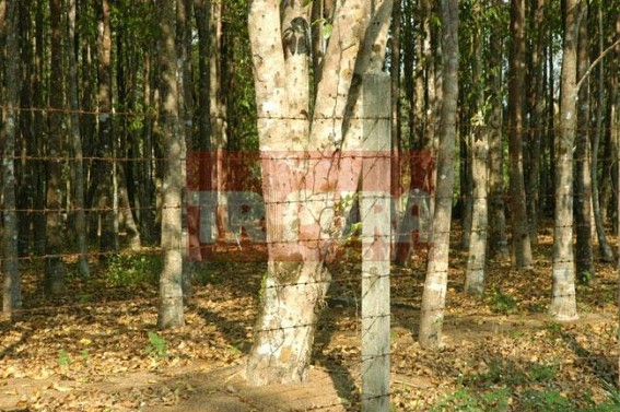 Allegations against Panchayat officials for Agar theft 