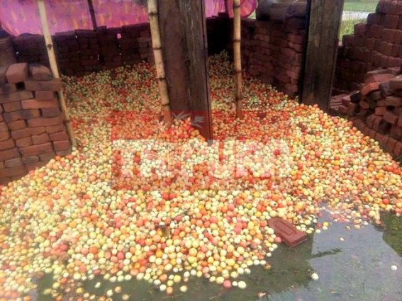 Rain and hailstorm damages crops, farmers facing losses 