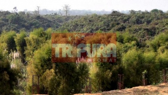 Rs. 17 lakhs Botanical garden turned barren land at Unakoti : Forest Deptâ€™s negligence alleged 