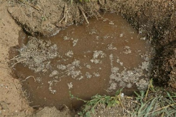 Infant dies in Tripura after falls into a hole