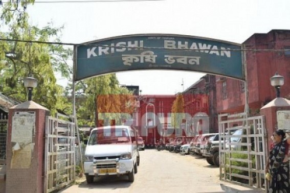 Agriculture Dept calls â€˜walk-in-interviewâ€™ for contractual employees recruitment 