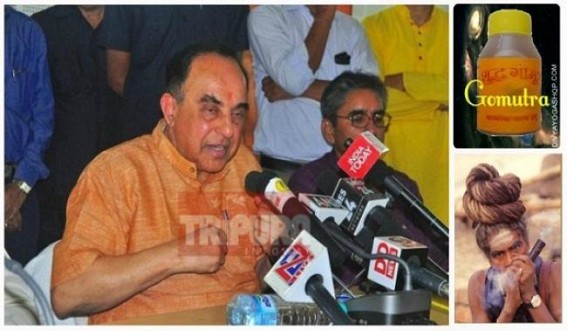 â€˜GOMUTRAâ€™, GANJA side affects hit JUMLA Party in Tripura :  Money extortion spiked in God's name, BJP MP calls for Hindu Rastra, State Law & Order deteriorates : Chaos dampen Durga Puja festive sales