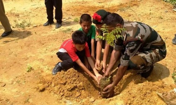 Tree plantation drive by Assam Rifles ahead of â€˜World Environment Dayâ€™