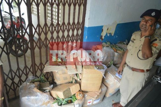 Ganja seized with Queen Pineapple at Agartala Airport   