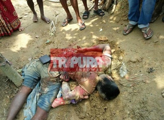Domestic elephant kills owner 