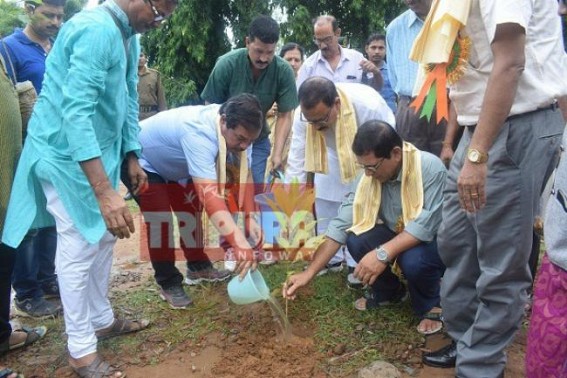Forest Minister calls for â€˜massiveâ€™ Forestation