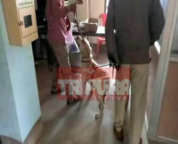 After Agartala's Bandhan Bank, robbers attack Bishalgarh's Gramin Bank