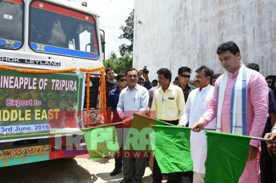 Tripuraâ€™s â€˜Queen Pineapplesâ€™ start journey for Middle East Asia