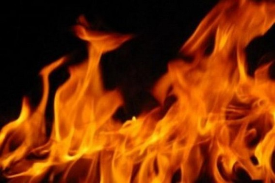 3 dead, 2 injured in Delhi as cars catch fire after crash