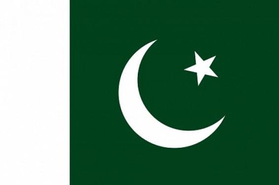 Pakistan freed Taliban co-founder at US request: Envoy